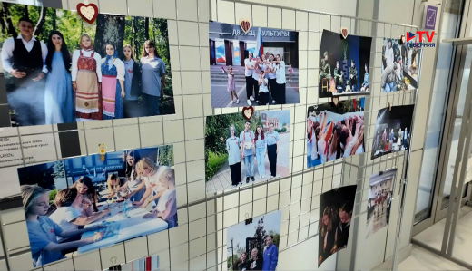 Больше 5 тысяч человек состоят в воронежских студотрядах