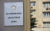 В Воронежскую облдуму по одномандатным округам пока проходят исключительно единороссы