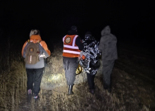 Пожилого грибника вывели из леса поисковики в Воронежской области