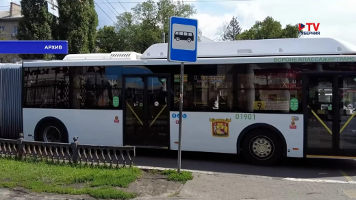 В Воронеже будут бороться с «зайцами» в автобусах после повышения стоимости проезда