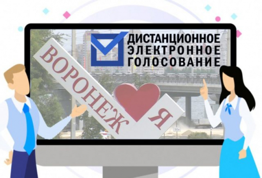 Воронежцы смогут принять участие в тренировочном дистанционном электронном голосовании