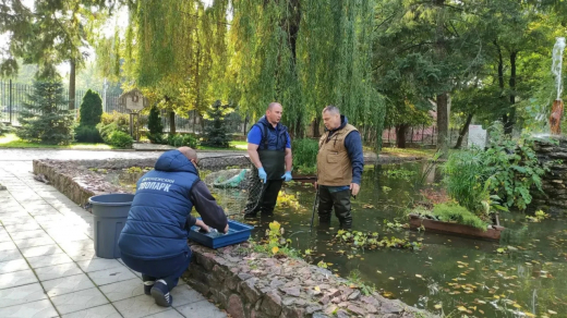 В Воронеже снимают ещё один фильм