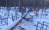 Внезапный разгром обнаружили на кладбище под Воронежем