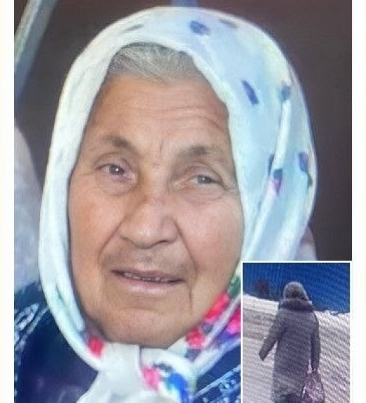 Пропавшую женщину в Воронежской области ищут среди сугробов