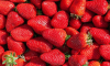Диетолог Лазуренко: при выборе клубники нужно обращать внимание на цвет ягод