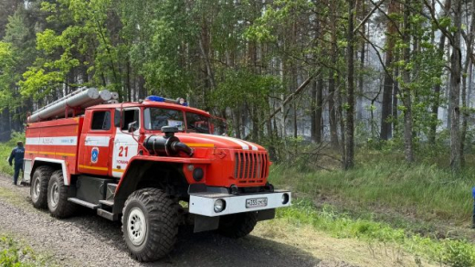 Спасатели из Воронежа отправились тушить пожар в заповеднике