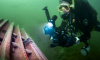 Выставкой «Ныряй с головой» торжественно откроется подводный парк «Янтарный» в Калиниграде