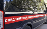 Девочка-подросток попалась со свертком наркотиков в Воронеже