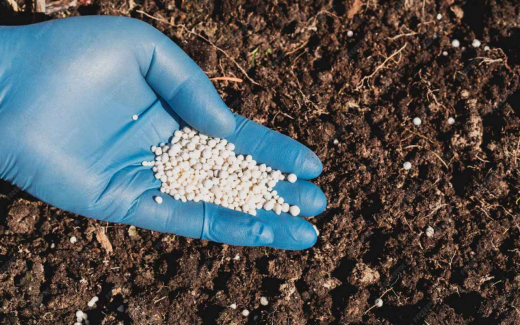 Белгородские и липецкие активы «Агроновы» закупили удобрений на 16 млрд рублей