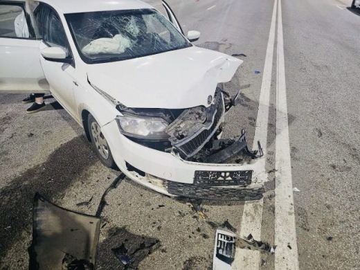 Годовалый и трёхлетний малыши пострадали в лобовом ДТП в Воронеже