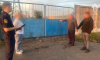 17 лет за поджоги электроподстанций получил житель Воронежской области