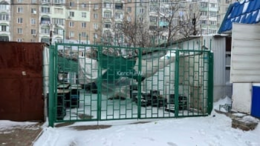 Рынок на Сморжевского закрыт из-за снега и мороза