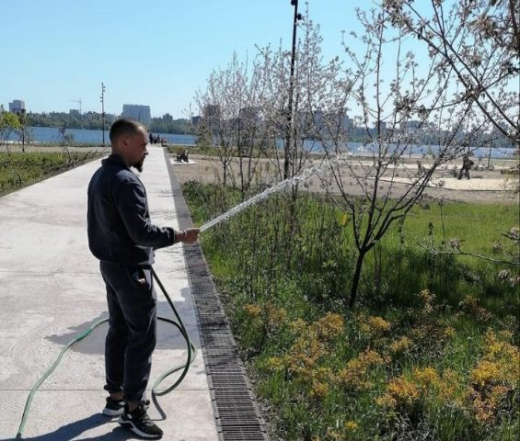 Воронежцев встревожило состояние новых рябин на второй очереди Петровской набережной