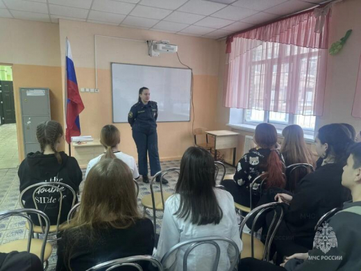 Школьникам Электростали рассказали о вузах МЧС России