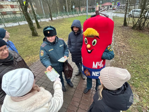 Профилактические мероприятия провели инспекторы госпожнадзора в подмосковной Власихе