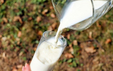 Суд свернул банкротство липецкого производителя молока «ГринВилль»