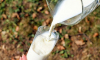 Суд свернул банкротство липецкого производителя молока «ГринВилль»
