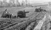 Москвичи вспомнили о поездках «на картошку» в деревню в пределах МКАД