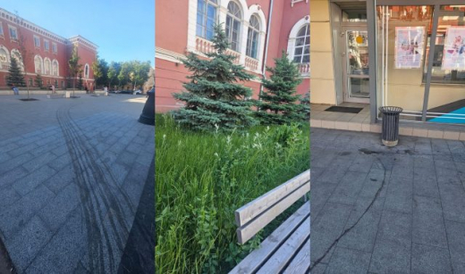 Состояние главной улицы Воронежа возмутило председателя Общественной палаты