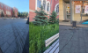 Состояние главной улицы Воронежа возмутило председателя Общественной палаты