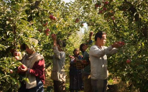 Владелец воронежской ЦЧПЯК отказался комментировать информацию о рабском труде на его предприятии