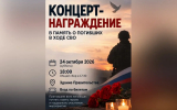 Приглашение на концерт в Воронеже памяти погибших на СВО оказалось фейковым