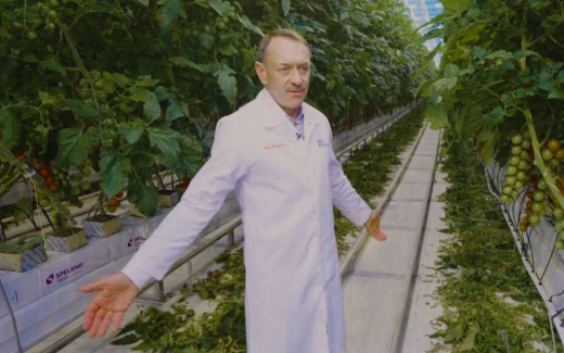 «Это сельское хозяйство, мы же не патроны производим»: владелец воронежской «Эко-культуры» высказался о болях агрария при работе с сетями