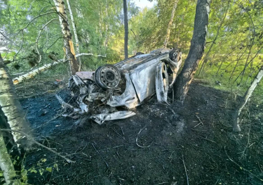 Воронежский подросток заживо сгорел в машине