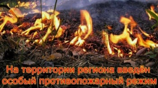 В Крыму запретили в городах и населенных пунктах жечь костры