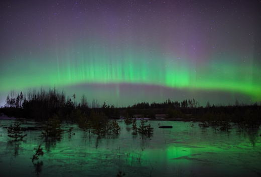 РАН: Вероятность наблюдения северного сияния в Москве в новогоднюю ночь — 20 %