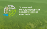 Накануне Невского международного экологического конгресса пройдет Экофестиваль кино