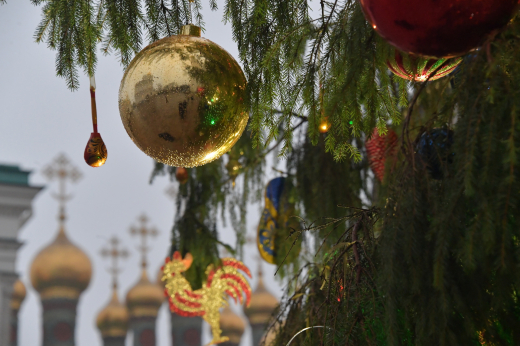 Главную новогоднюю ель страны привезут в Кремль из Рузы 10 декабря