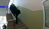 Опоздание в школу из-за сирен станет уважительным в Воронежской области