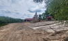 Незаконный пляж попытались сделать на берегу реки Воронеж
