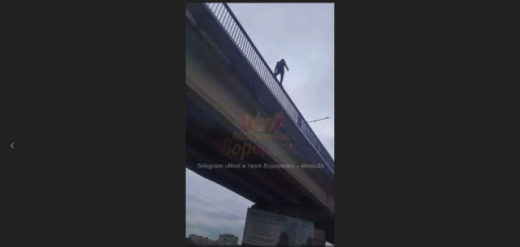 Мужчина прогулялся по перилам второго яруса Северного моста в Воронеже