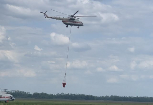 В воронежском заповеднике имени Пескова начался новый пожар