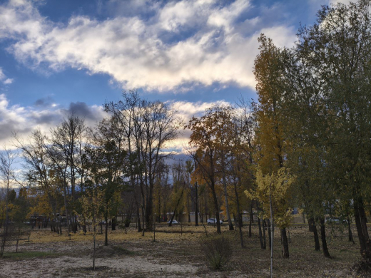 Короткая рабочая неделя в Воронеже будет прохладной и пасмурной