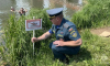 На водоемах городского округа Пушкинский проведены профилактические рейды