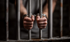Подростка из Дмитрова приговорили к четырем годам колонии за оправдание терроризма