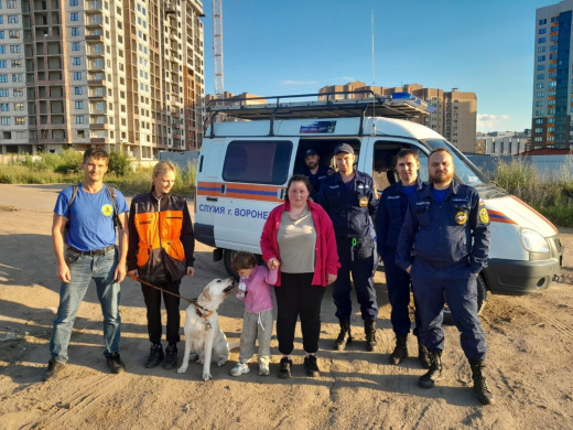 В Воронеже трёхлетняя девочка убежала от бабушки в поле подсолнухов и пропала