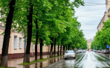 Волна похолодания доберётся до Воронежа