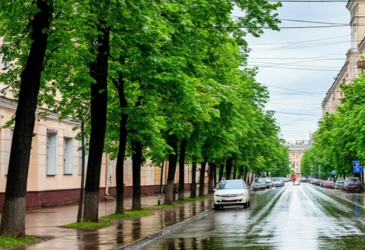 Волна похолодания доберётся до Воронежа