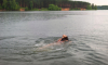 Названы безопасные зоны отдыха с купанием в Москве