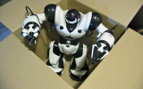 Игроки рынка робототехники спрогнозировали рост Robot-as-a-Service