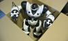 Игроки рынка робототехники спрогнозировали рост Robot-as-a-Service