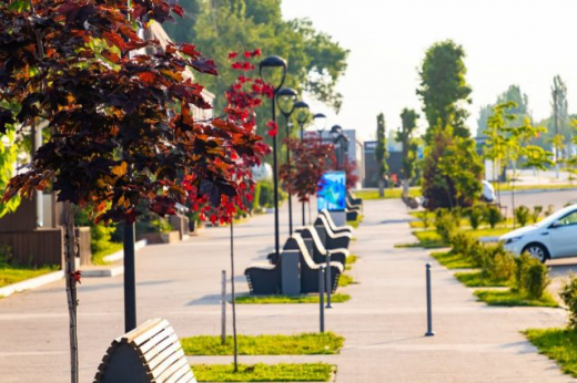 Воронежцам предложили выбрать территории для благоустройства в 2026 году