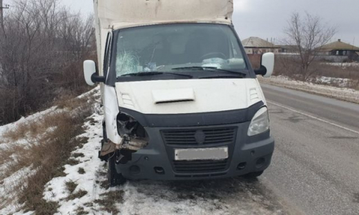 На трассе в Воронежской области «ГАЗель» насмерть сбила женщину