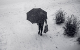 Синоптики предупредили об опасном налипании мокрого снега в Воронежской области