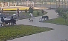 Ребёнок на электросамокате сбил девочку на детской площадке в Воронеже