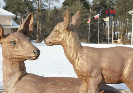 Воронежский заповедник перешёл на зимний режим работы